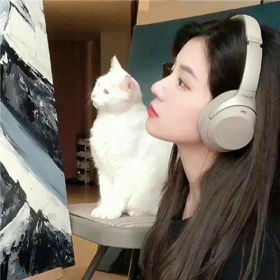 瑞典人在美国